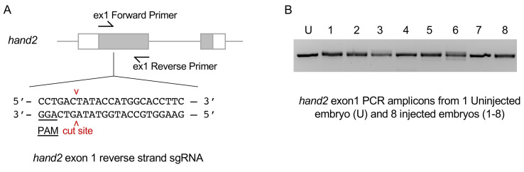 Figure 6.