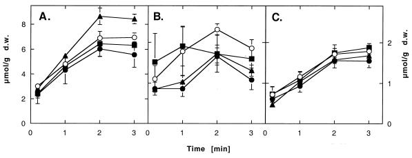 FIG. 5