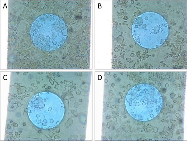 Fig. 4