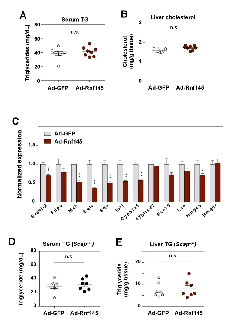 Figure 3—figure supplement 1.