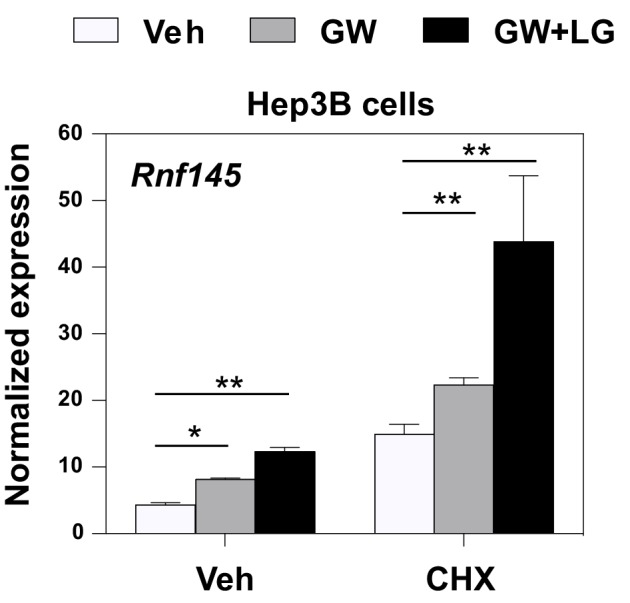 Figure 1—figure supplement 1.