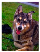 graphic file with name sensors-23-00815-i175.jpg