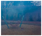 graphic file with name sensors-23-00815-i146.jpg