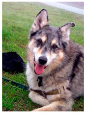 graphic file with name sensors-23-00815-i178.jpg