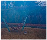 graphic file with name sensors-23-00815-i143.jpg