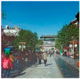 graphic file with name sensors-23-00815-i123.jpg