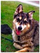 graphic file with name sensors-23-00815-i176.jpg