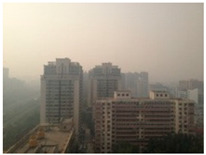 graphic file with name sensors-23-00815-i005.jpg