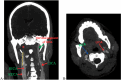 Fig. 3