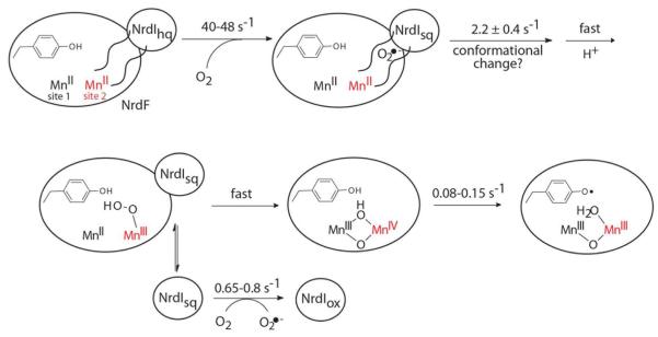 Scheme 3