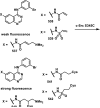 Scheme 41