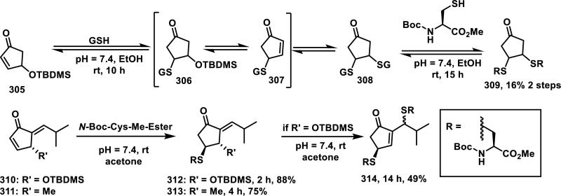 Scheme 17