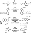 Scheme 5