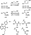 Scheme 27