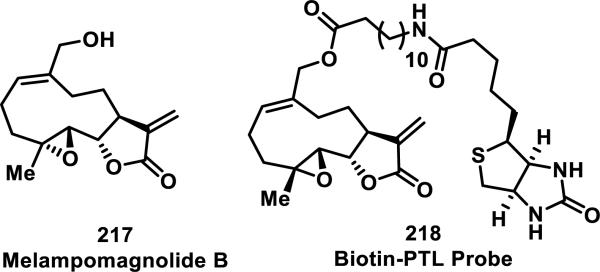 Figure 25