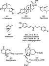 Figure 41