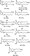 Figure 32