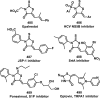 Figure 38