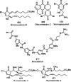 Figure 37