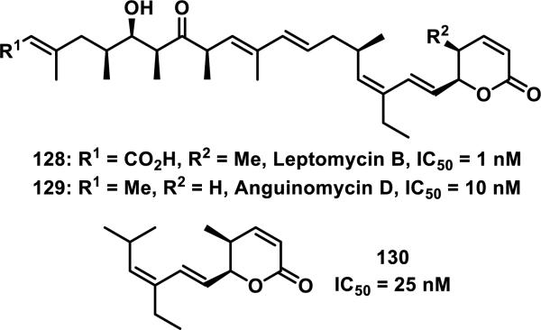 Figure 17