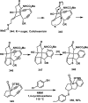 Scheme 23