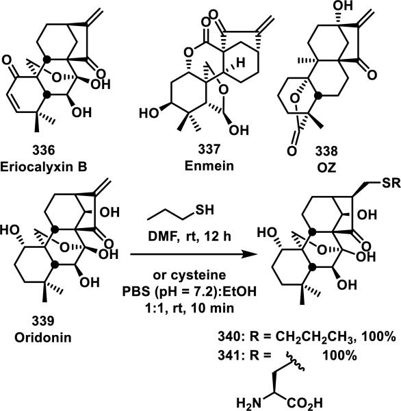 Scheme 21