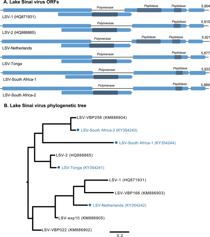 FIG 1