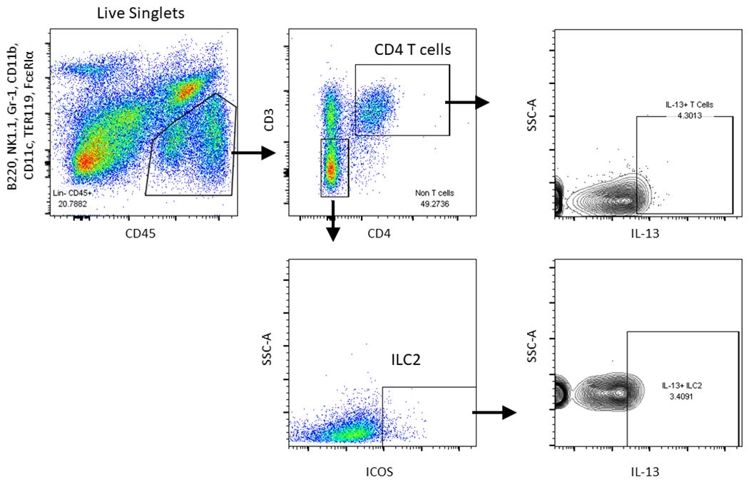 Figure 7: