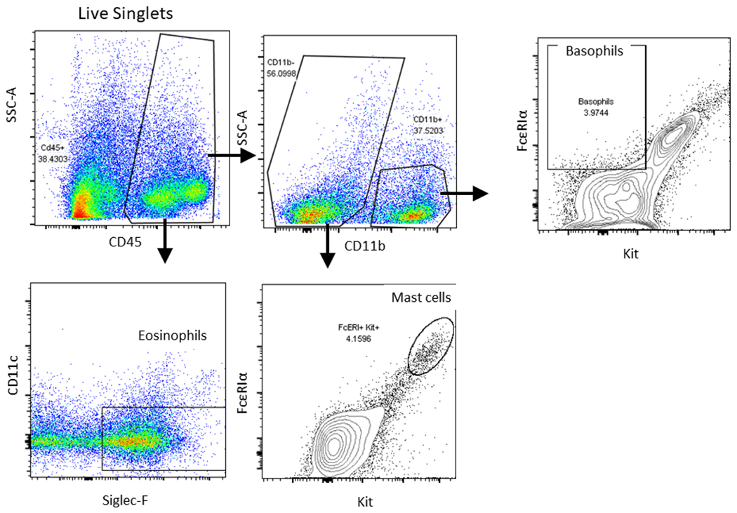 Figure 4: