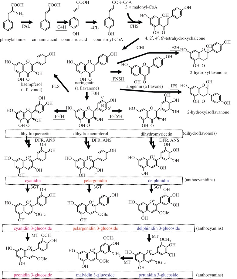 Figure 1.