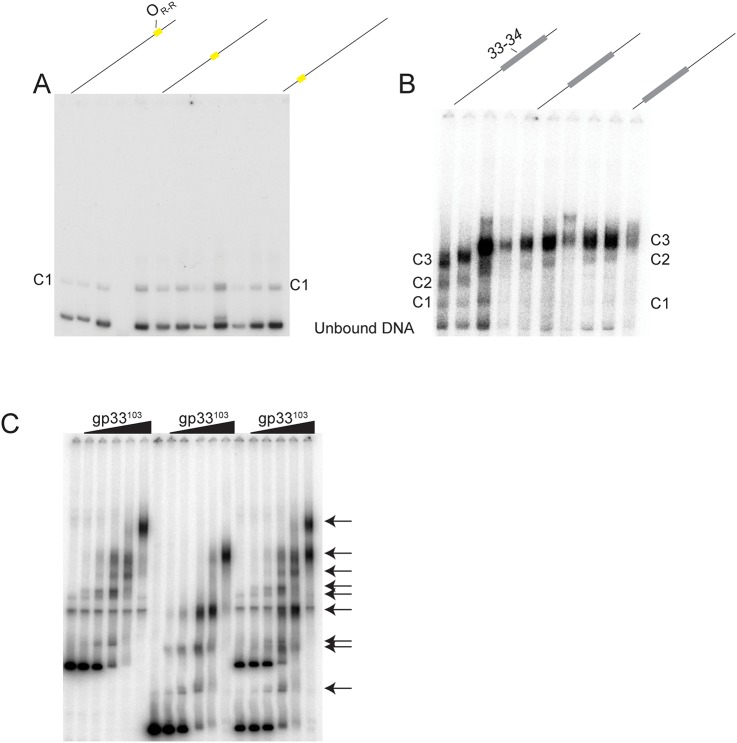 Fig 5