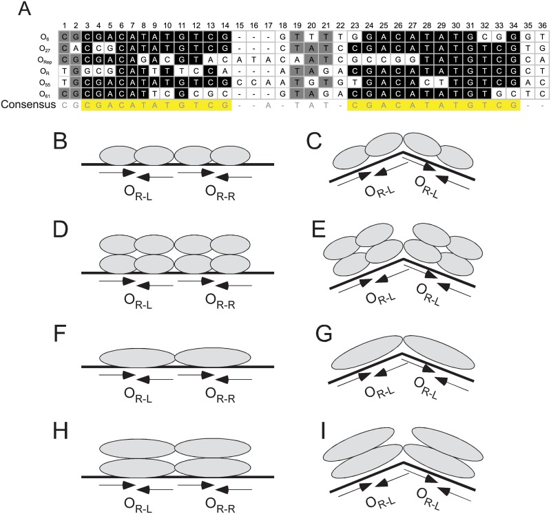 Fig 10