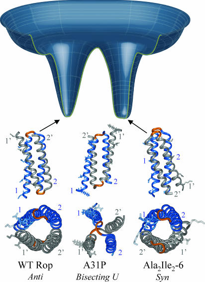 Fig. 1.