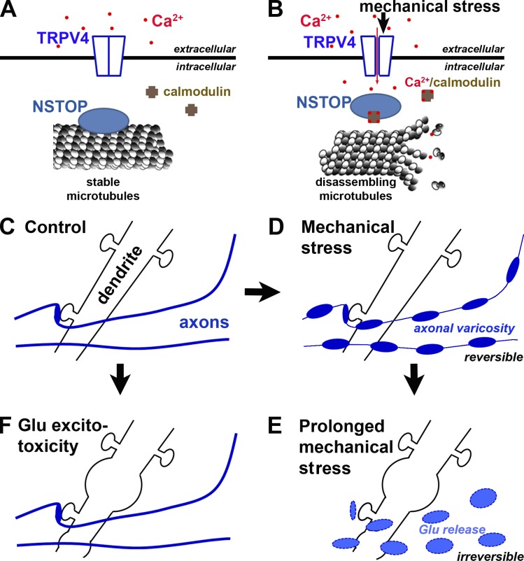 Figure 10.