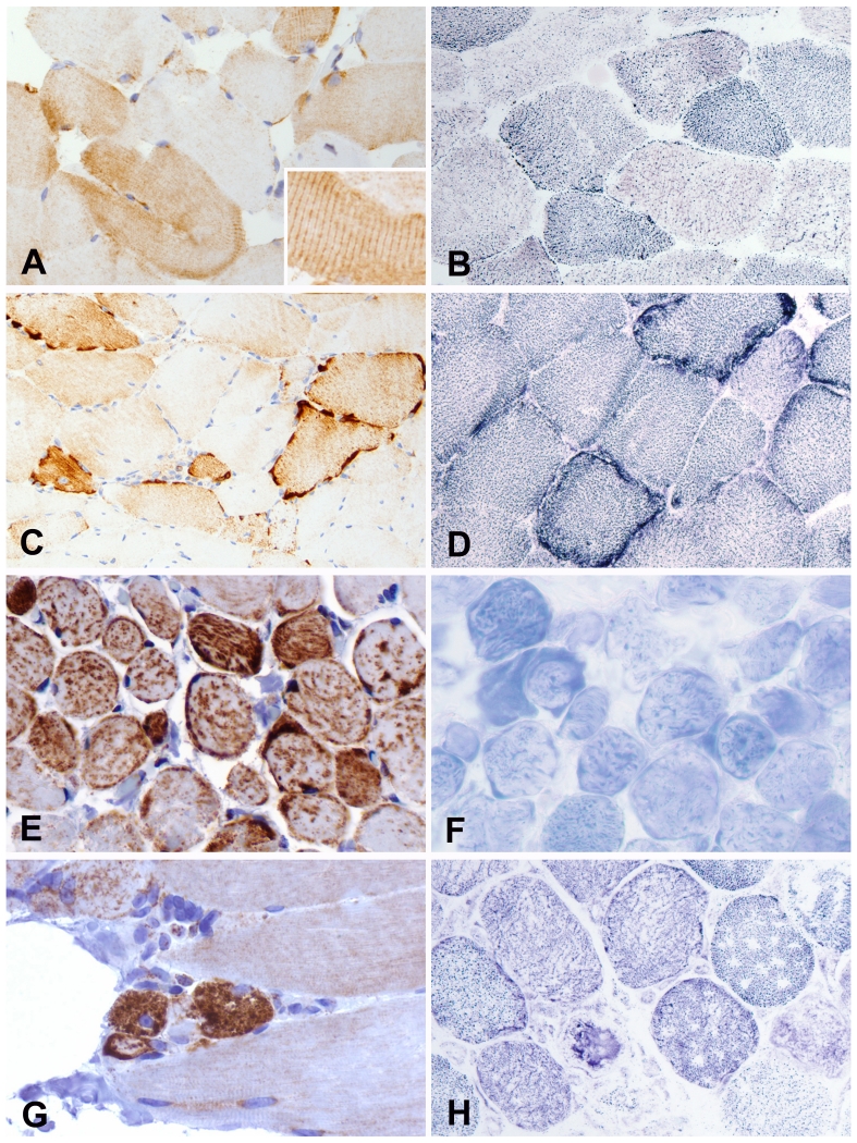 FIGURE1