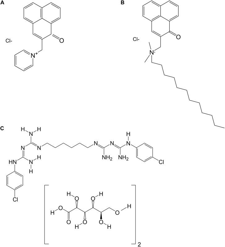 FIGURE 1