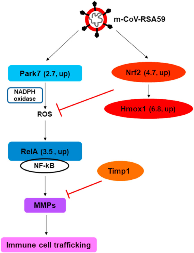 Fig. 10