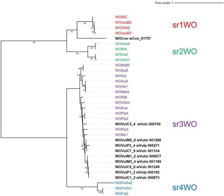 Figure 6