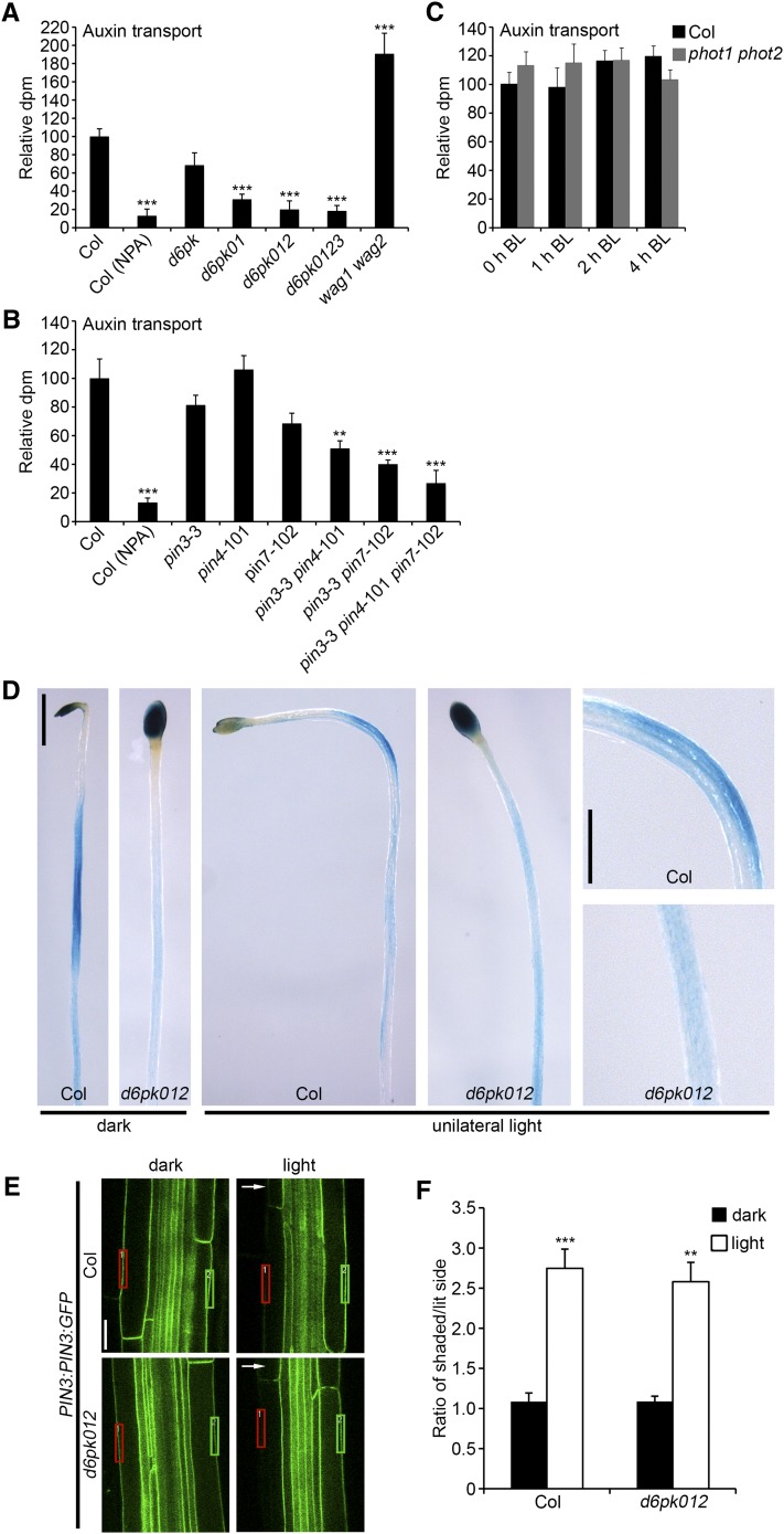 Figure 6.