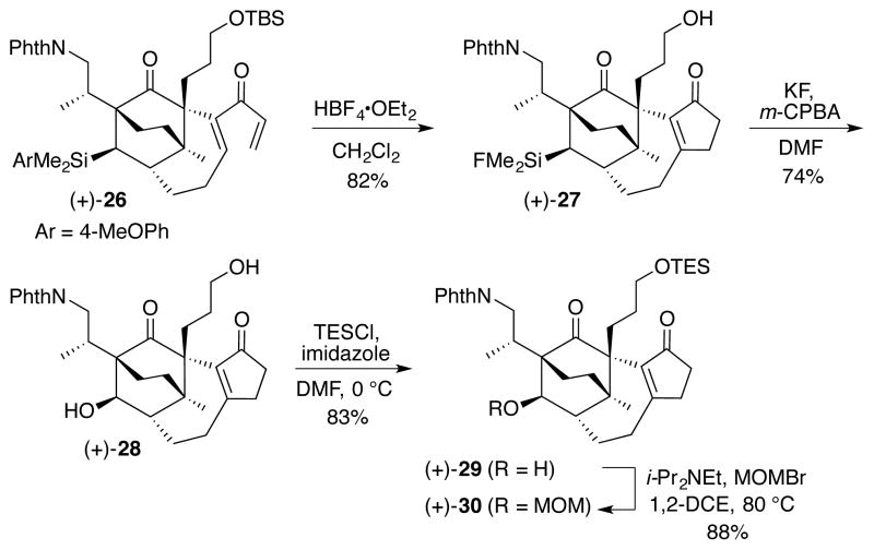 Scheme 5