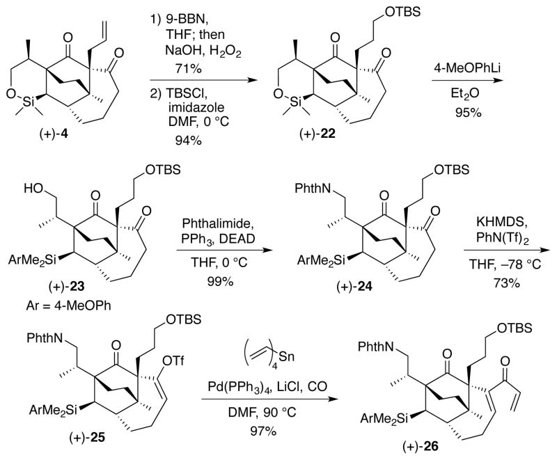 Scheme 4