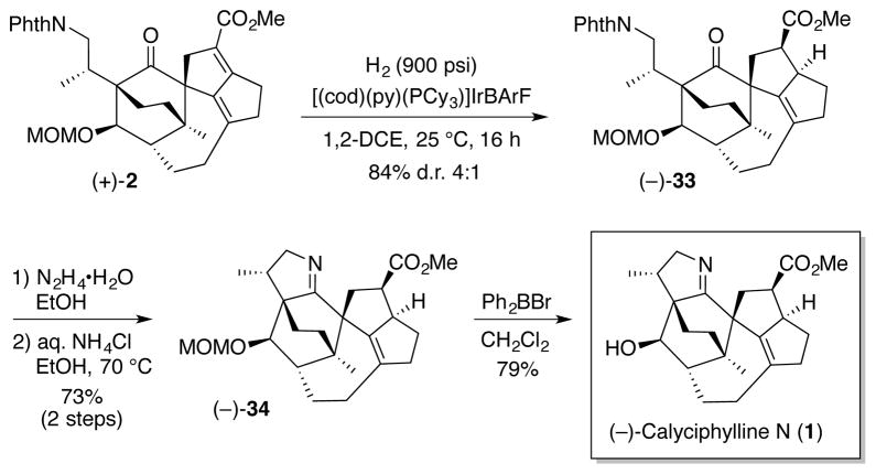 Scheme 7