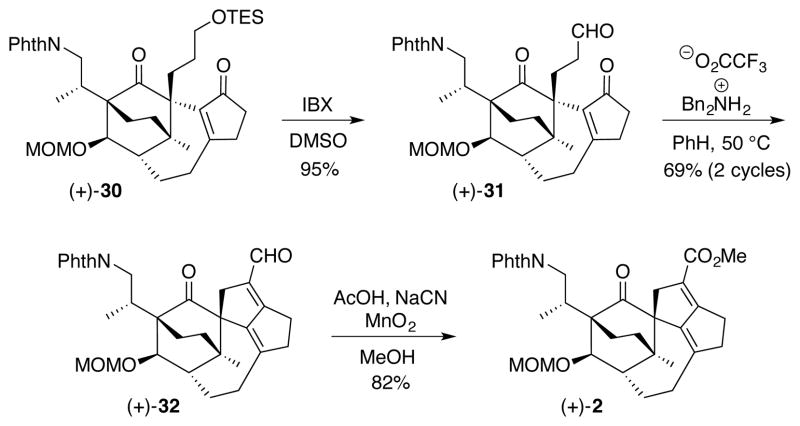 Scheme 6