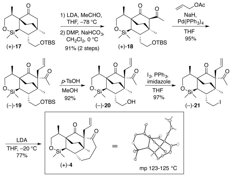 Scheme 3