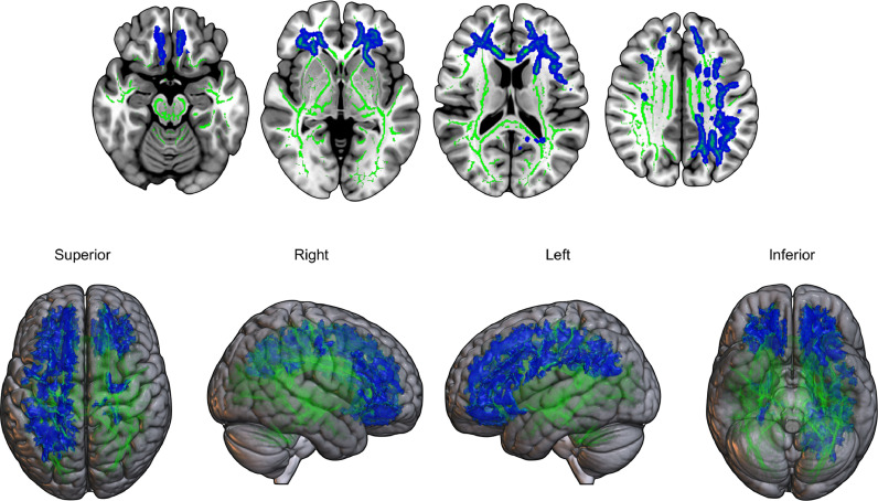 Fig 3: