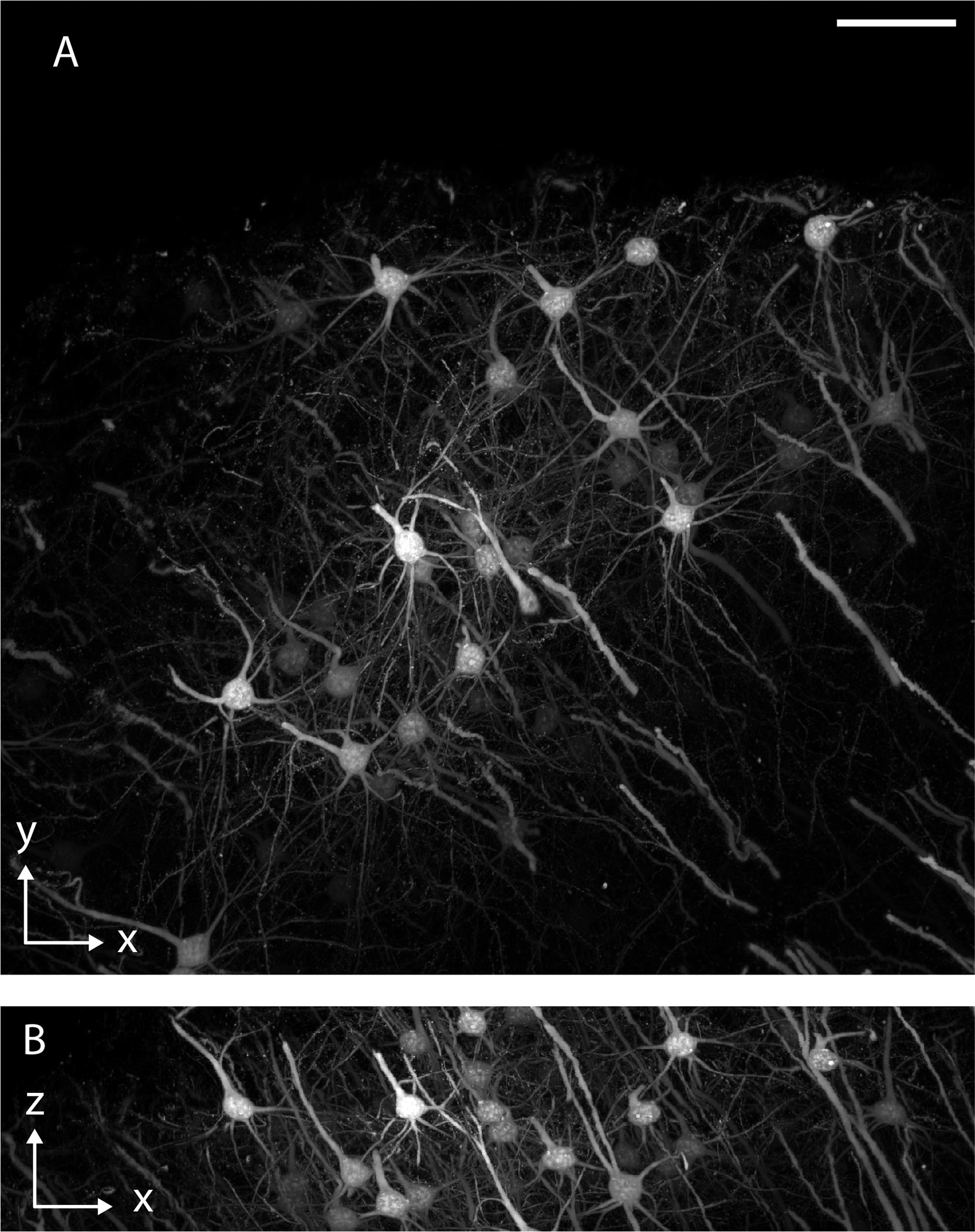 Figure 15.