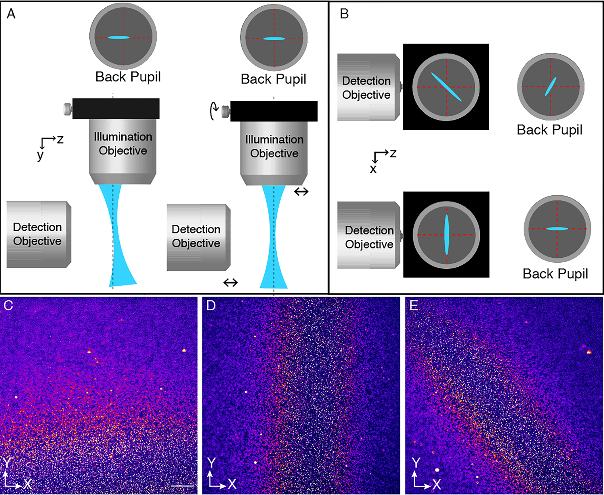 Figure 11.