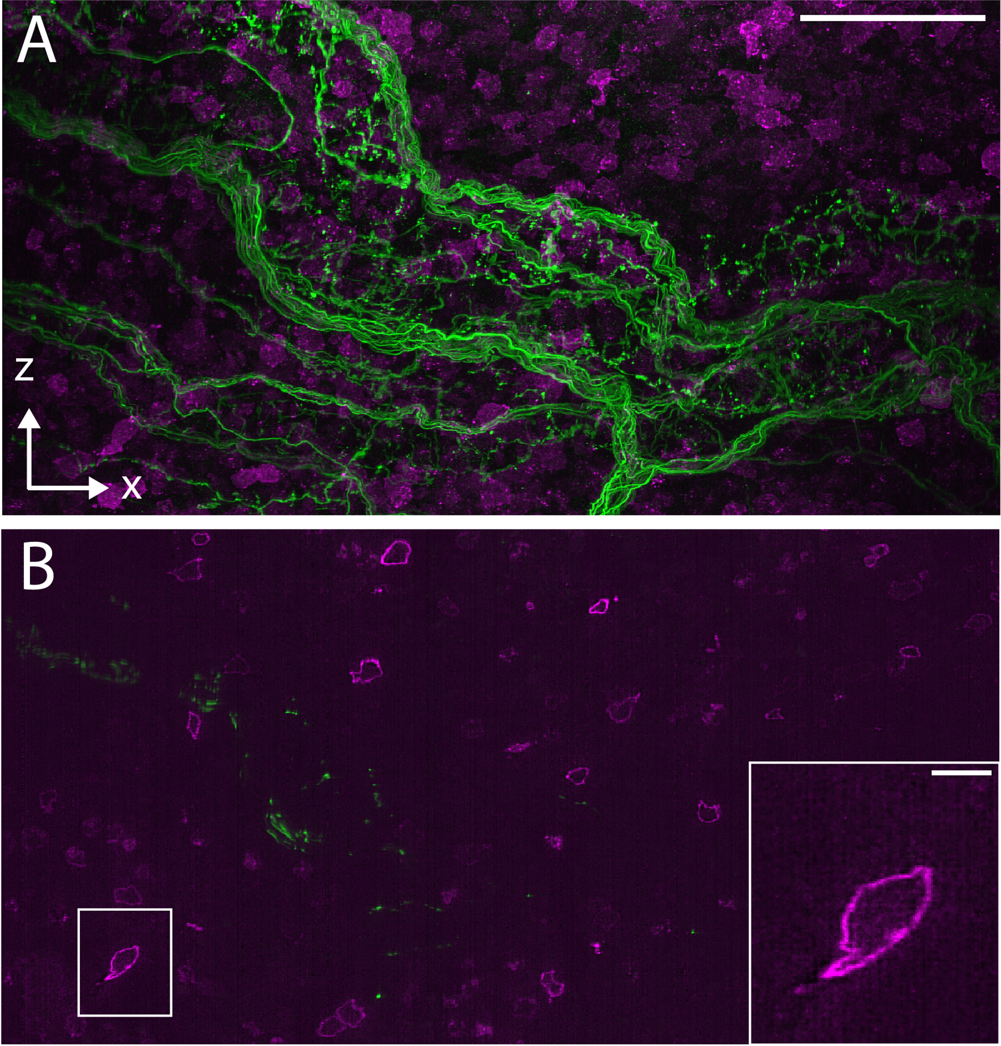 Figure 16.