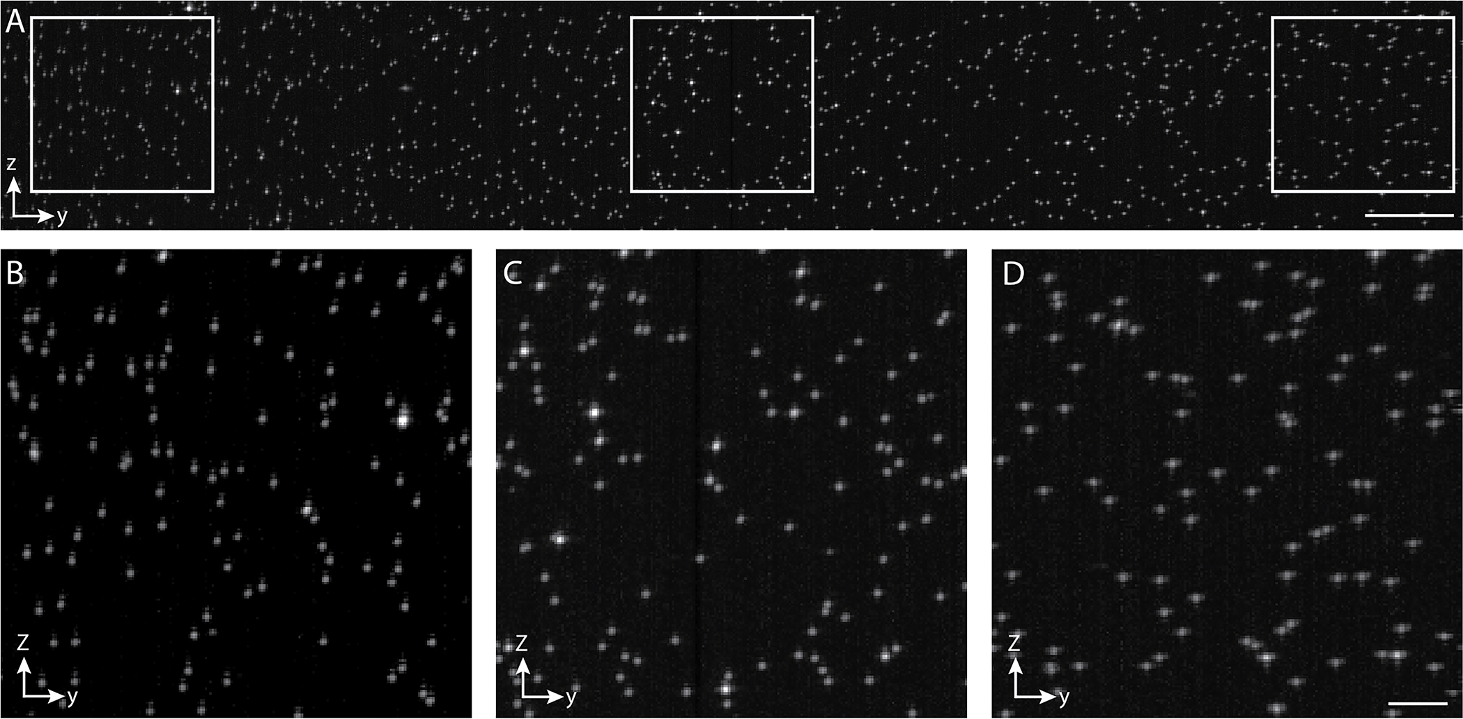 Figure 10.