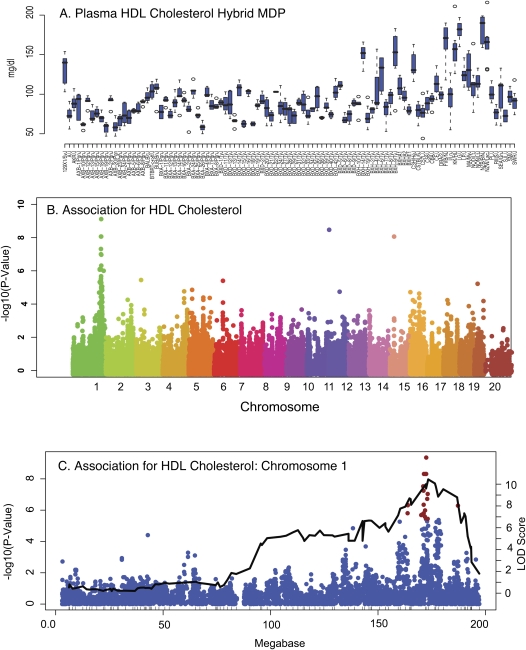 Figure 4.